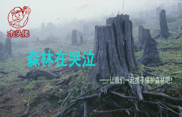 森林在哭泣——让我们携手保护森林吧